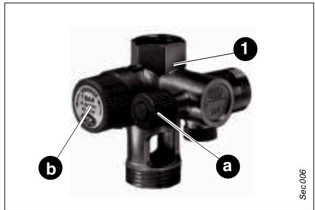 SAUNIER DUVAL THEMA F 23 F23E FAS23E - Vidange du circuit d'eau chaude sanitaire - 1