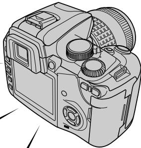 OLYMPUS E-500 - Ce que vous pouvez faire avec cet appareil photo - 6