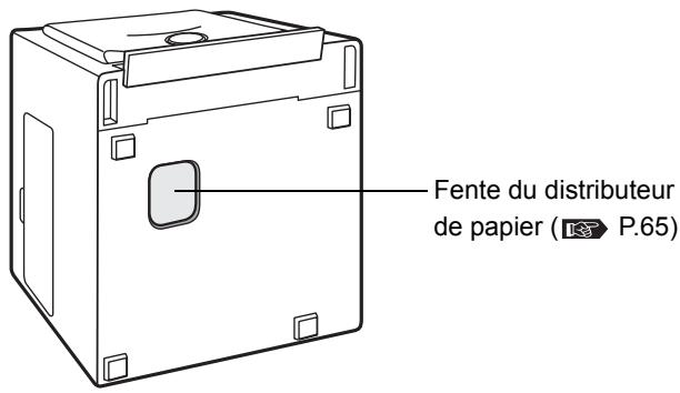 OLYMPUS P-10 - Dessous - 1