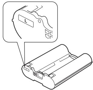 OLYMPUS P-10 - Precauciones - 3