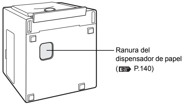 OLYMPUS P-10 - Fondo - 1
