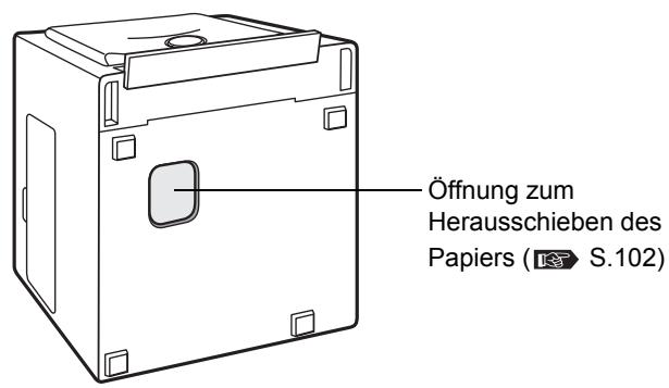 OLYMPUS P-10 - Unterseite - 1