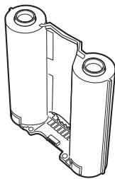 OLYMPUS P-10 - Caution - 4