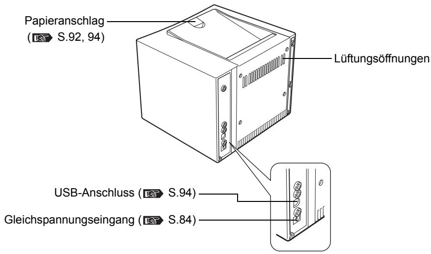 OLYMPUS P-10 - Rückseite - 1