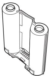 OLYMPUS P-10 - Precauciones - 4