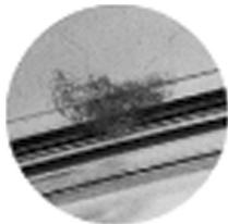 OLYMPUS PT-055 - Installer le joint - 2