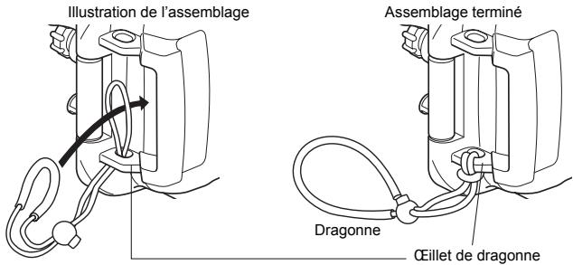 OLYMPUS PT-055 - Mise en place de la courroie - 1