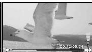 OLYMPUS STYLUS TG-870 - Lecture de video - 2