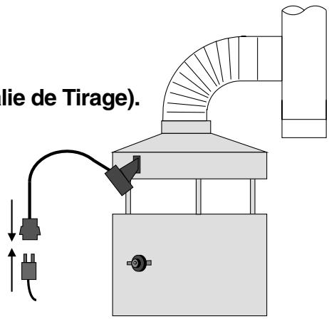 FRISQUET GAZLINER - - Raccorder le conduit de fumée et le DAT (détecteur d'anomalie de tirage). - 1