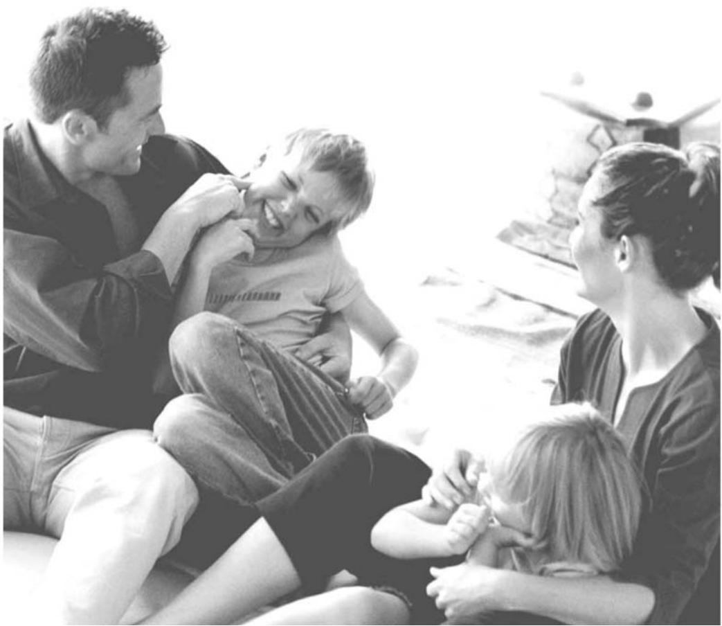 VEDETTE VLT 8184 - 1