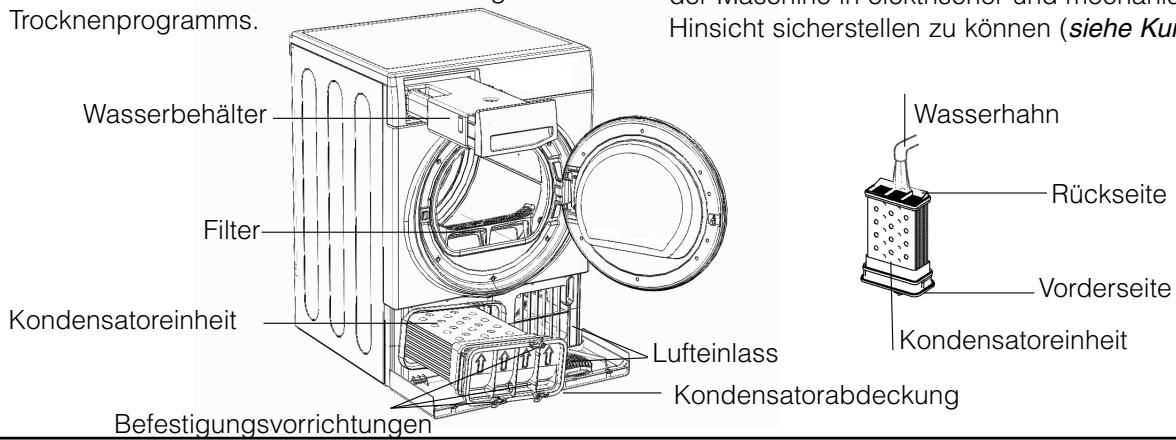 HOTPOINT TCD 97B 6HY/N - Wasserbehälter nach jedem Zyklus leeren - 1
