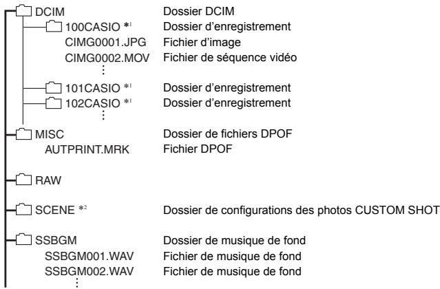 CASIO ZR1000,  ZR710 - Structure des dossiers de la mémoire - 1