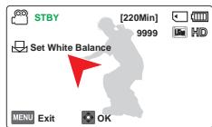 SAMSUNG HMX F90 & HMX-F90 - Cadrez un objet blanc, tel qu'une feuille de papier, afin de recouvrir complètement l'écran. Utilisez un objet opaque. - 1