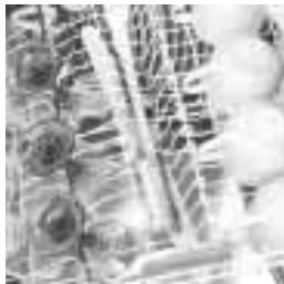 FAGOR INNOVA LFF-013 - IMPORTANT - 7