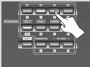 ROLAND A-300PRO - LCD CONTRAST - 1