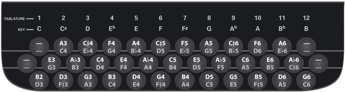 ROLAND FR-18 D BK - Tablatures (tonalité par défaut : sol (g) sauf mention contraire) - 5