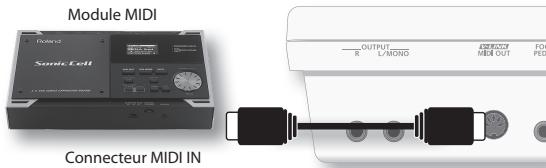 ROLAND LUCINA AX-09-BK - Connexion d'un module MIDI - 1