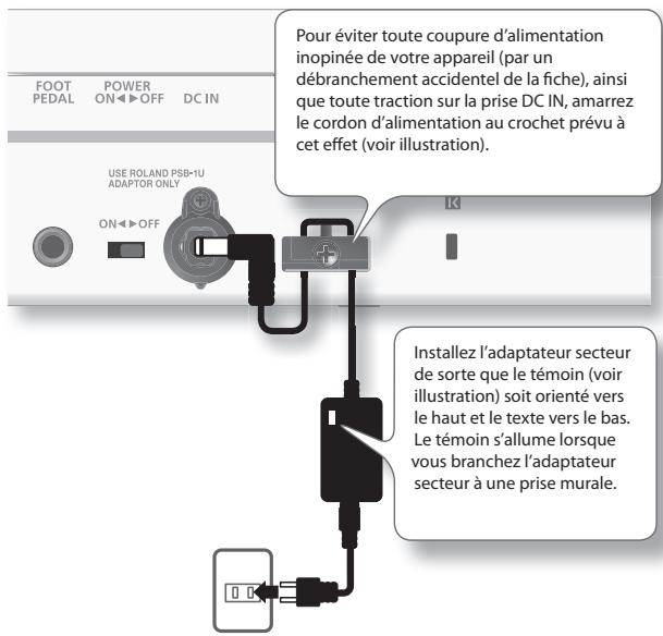 ROLAND LUCINA AX-09-BK - Connexion de l'adaptateur secteur - 1
