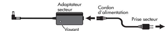 ROLAND M-CUBE-RX - Connexion de l'adaptateur secteur - 1