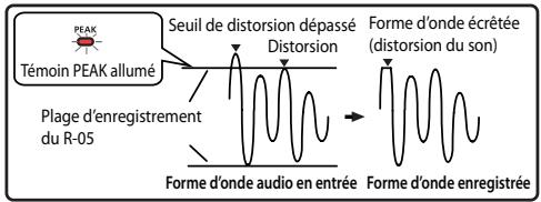 ROLAND R-05 - Remarque - 2