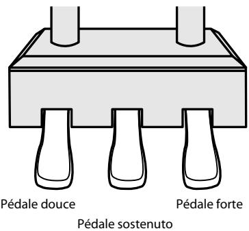 ROLAND RG-1F-SB - Utilisation des pédales - 1