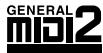 ROLAND RG-1F-SB - General MIDI 2 - 1