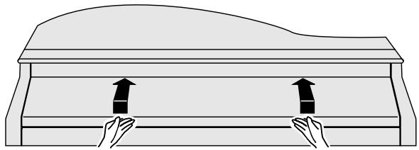 ROLAND RG-1F-SB - Pour le RG-1F - 1