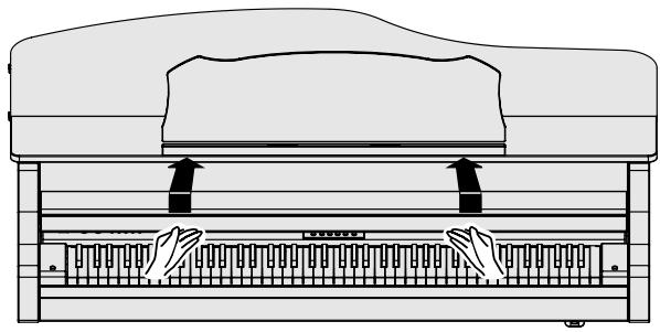 ROLAND RG-1F-SB - Pour le RG-3F - 1