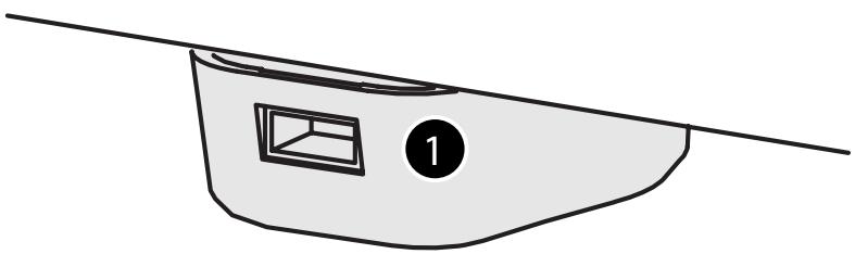 ROLAND RG-1F-SB - Prise AC in - 1