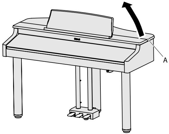 ROLAND RG-1F-SB - Avertissement - 1