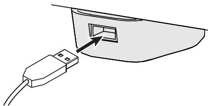 ROLAND RG-1F-SB - Précautions concernant l'utilisation de CD - 2