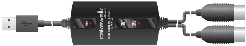 ROLAND UM-1G - Interface MIDI USB UM-1G - 1