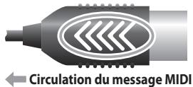 ROLAND UM-1G - Câble MIDI IN (à brancher à un connecteur MIDI OUT) - 1