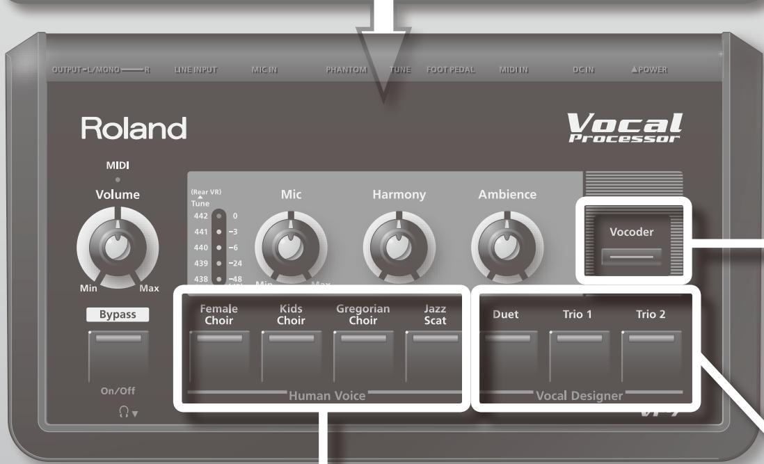 ROLAND VP-7 - Précautions supplémentaires - 2