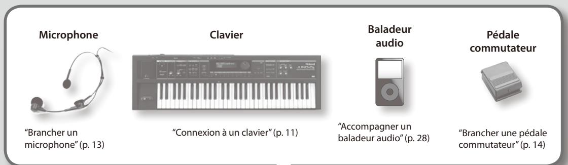 ROLAND VP-7 - Précautions supplémentaires - 1