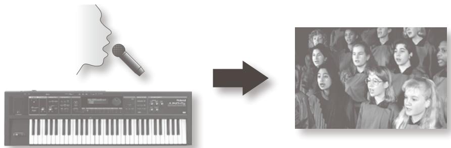 ROLAND VP-7 - Vocal designer ajoutez une harmonie à votre voix - 1