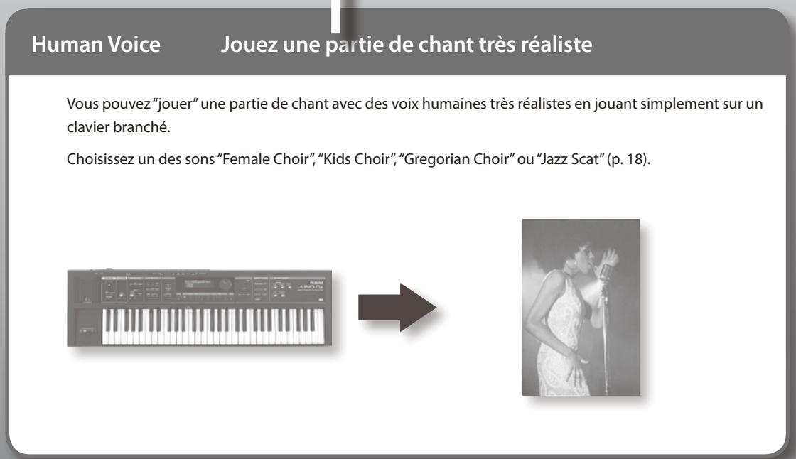 ROLAND VP-7 - Précautions supplémentaires - 3