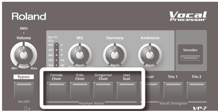 ROLAND VP-7 - Sélectionner un type de voix humaine - 1