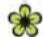 VOLKSWAGEN GOLF 5 - ATTENTION! - 1