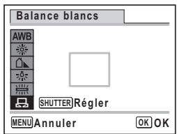 PENTAX OPTIO P80 - Réglage manuel de la balance des blancs - 1
