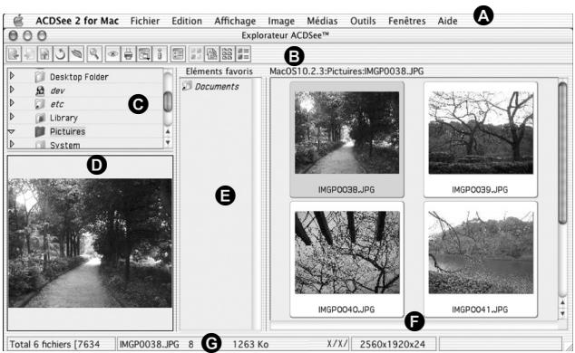 PENTAX OPTIO P80 - Interface du navigateur ACDSee - 1