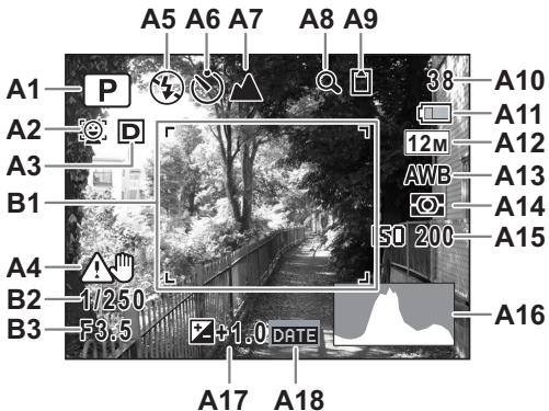 PENTAX OPTIO P80 - Affichage Histogramme + Aucun aff. d'info en mode d'enregistrement Photo - 1