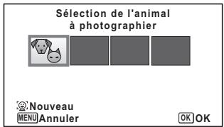 PENTAX WG-1 GPS - Appuyez sur le bouton de I'écran d'etat de l'enregistrement en mode (Animaux Domestiques). - 1
