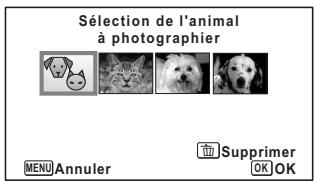 PENTAX WG-1 GPS - Sélection de l'animal que vous souhaitez photographier - 2