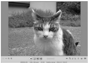 PENTAX WG-1 GPS - Visualisation d'images - 2
