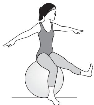 KOMPERNASS KH 4216 GYM BALL - Musculature du torque - 1