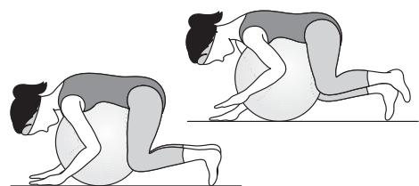 KOMPERNASS KH 4216 GYM BALL - Stabilisation - 1