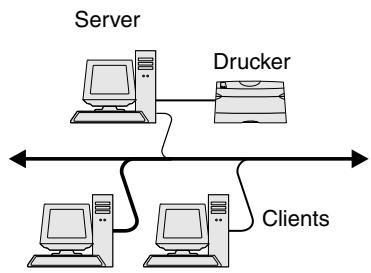 LEXMARK C510 - Druck über Druckerfreigabe über einen Server unter Windows NT 4.0, Windows 2000, Windows XP und Windows Server 2003 - 1