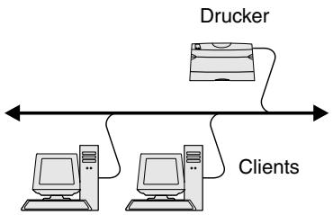 LEXMARK C510 - Direktes Drucken unter Windows 95/98/ME, Windows NT 4.0, Windows 2000, Windows XP und Windows Server 2003 - 1