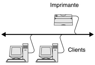 LEXMARK C510 - Étape 12 : installation de pilotes pour l'impression réseau - 1
